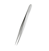 Metal pointed Tweezers