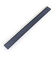 Female Berg strip -40X1